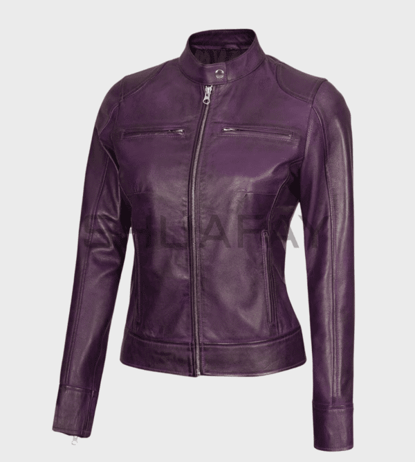 Radiant Stripe Leather Jacket