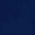 Navy Blue Premium Leather