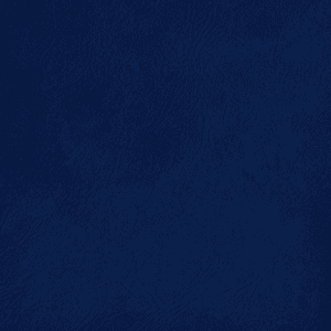 Navy Blue Premium Leather