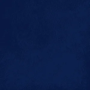 Navy Blue Premium Leather