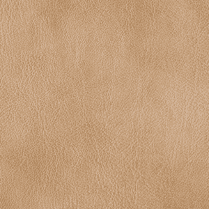 Tan Premium Leather