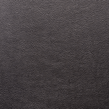 Charcoal Gray Premium Leather